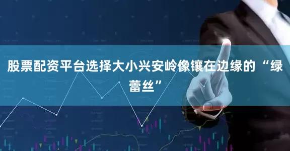 股票配资平台选择大小兴安岭像镶在边缘的 “绿蕾丝”